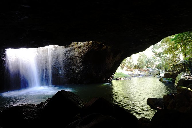 Rainforest & Waterfalls Experience - Tour Inclusions