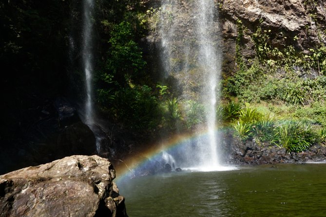 Rainforest & Waterfalls Experience - Meeting and Pickup