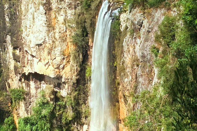 Rainforest & Waterfalls Experience - Natural Wonders