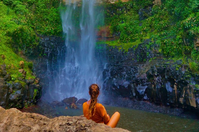 Rainforest & Waterfalls Experience - Wildlife Sightings