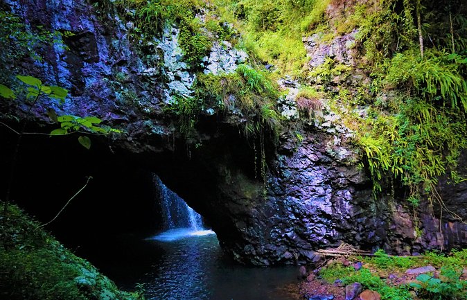 Rainforest & Waterfalls Experience - Home-cooked Meals