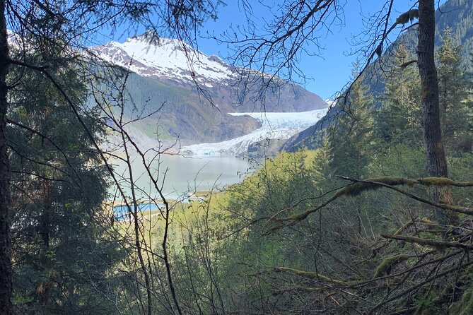 Rainforest & Waterfalls Trek - Mendenhall Glacier Excursion