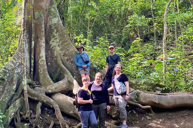 Rainforest Wildlife, Panama Hat Makers, Traditional Cuisine. SHORE TOUR - Key Points