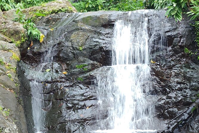 Rainforest Wonders Private Full Day Experience From San Juan - Hiking Through Verdant Trails