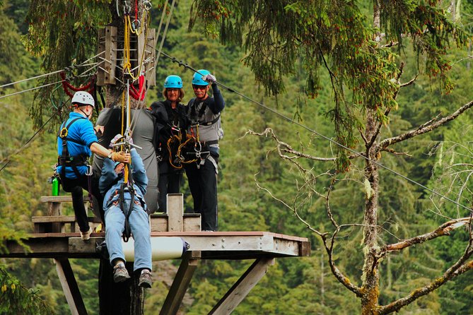 Rainforest Zip, Skybridge & Rappel Adventure in Ketchikan, AK - Wildlife Viewing Opportunities