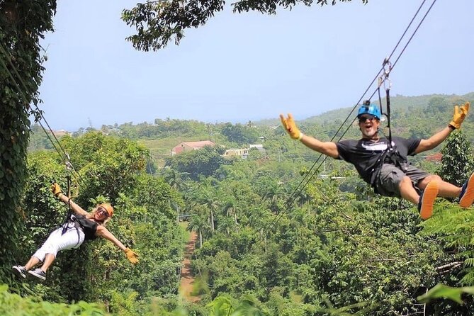 Rainforest Zipline in Foothills of the National Rainforest - Activity Details