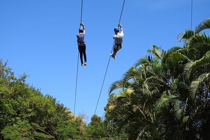 Rainforest Zipline in Foothills of the National Rainforest - Customer Feedback