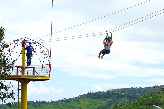 Rainforest Zipline in Foothills of the National Rainforest - Adventure Highlights