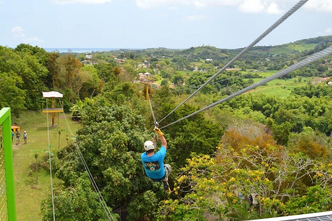 Rainforest Zipline in Foothills of the National Rainforest - Preparing for the Zipline