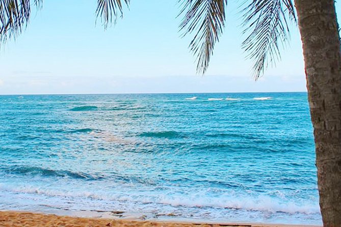 Rainforest Zipline, Luquillo Beach, and Natural Springs Day Trip - Tour Features and Inclusions