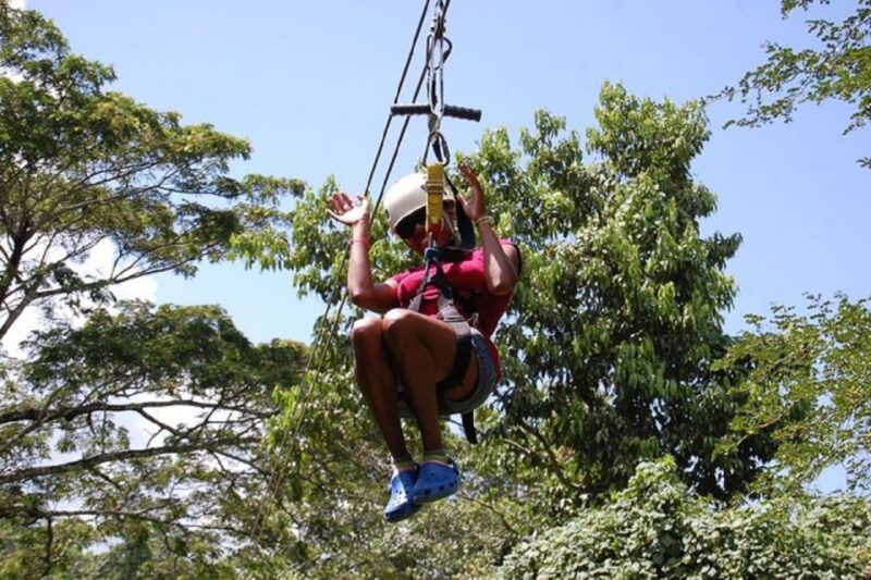 Rainforest Zipline Mystic Mountain Tour Fr Montego Bay - Key Points