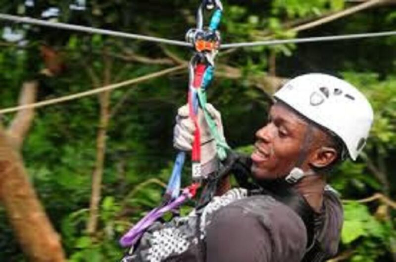 Rainforest Zipline Mystic Mountain Tour Fr Montego Bay - Pickup and Transportation