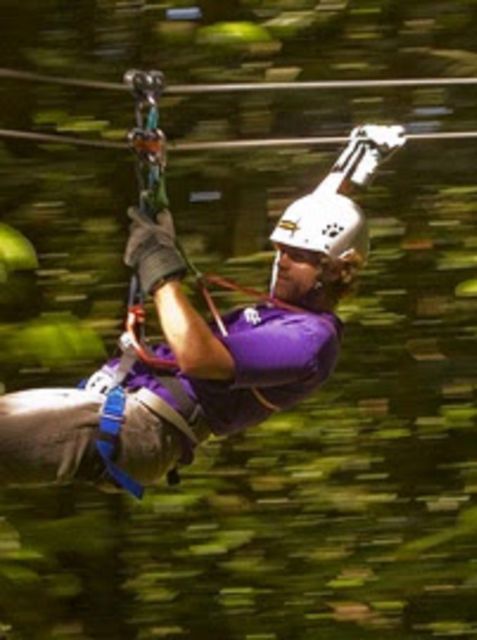 Rainforest Zipline Mystic Mountain Tour Fr Montego Bay - Group Size and Flexibility
