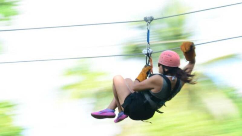 Rainforest Ziplining Adventure - Key Points