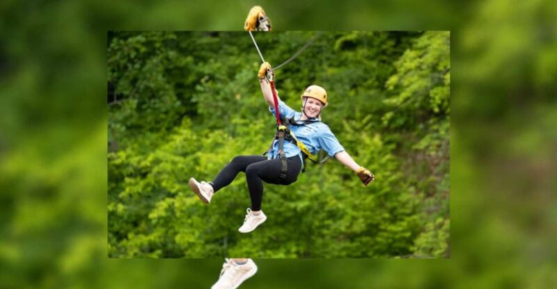 Rainforest Ziplining Adventure - Experience Highlights