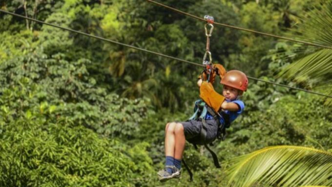 Rainforest Ziplining Adventure - Languages and Tour Guide