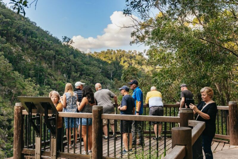 Rainforests and Glow Worm Cave: Day Tour From Brisbane - Explore Gondwana Rainforests
