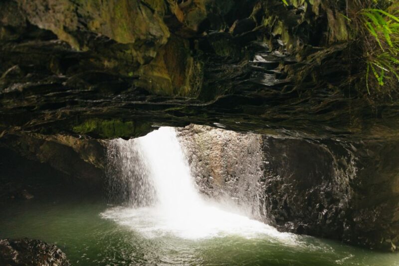 Rainforests and Glow Worm Cave: Day Tour From Brisbane - Waterfall and Rock Pools
