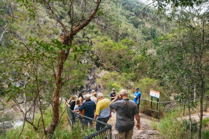 Rainforests and Glow Worm Cave: Day Tour From Brisbane - Cedar Creek Glow Worm Caves