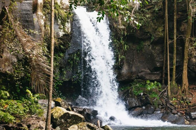 Rainforests and Glow Worm Cave: Day Tour From Brisbane - Booking Information