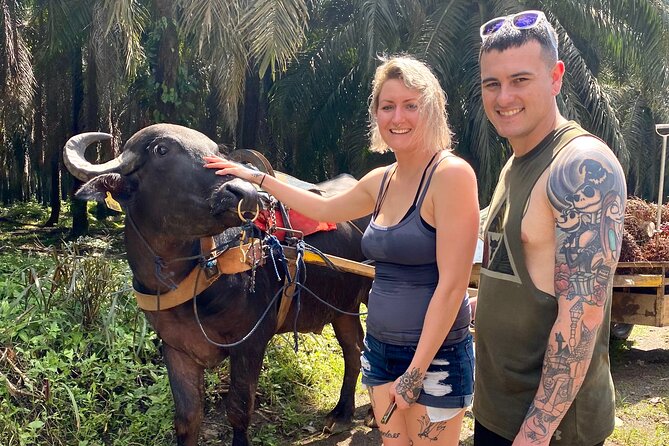Rainmaker Park Adventure Tour - Traveler Reviews