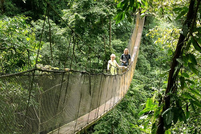 Rainmaker Park Hanging Bridges & Waterfalls Tour With Jade Tours - Physical Requirements and Accessibility