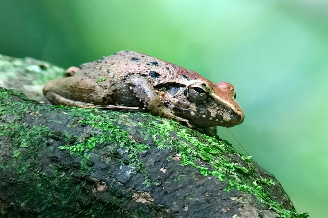 Rainmaker Tour - Exploring the Quepos Corridor