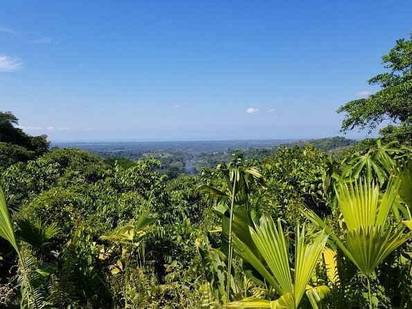 Rainmaker Waterfalls and Hanging Bridges From Manuel Antonio - Key Points
