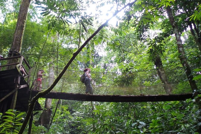 Rainmaker Waterfalls and Hanging Bridges From Manuel Antonio - Feedback and Ratings