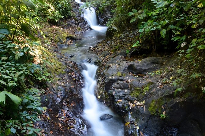 Rainmaker Waterfalls and Hanging Bridges From Manuel Antonio - Included Amenities