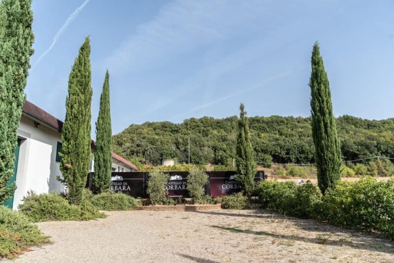 Raise a Glass: Exclusive Wine Experiences Near Orvieto - Key Points