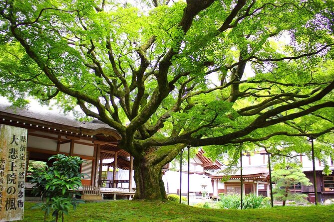 Raizansennyoji Futamigauras Couple Stones Day Tour From Fukuoka - Highlights of the Tour