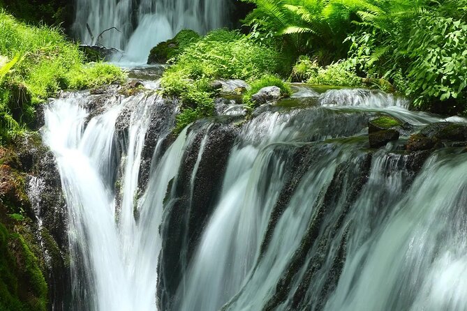 Raizansennyoji Futamigauras Couple Stones Day Tour From Fukuoka - Inclusions and Exclusions