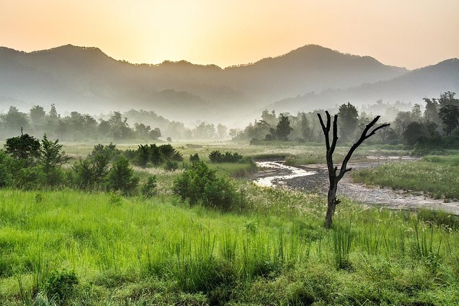 Rajaji National Park - Jeep Safari in Rishikesh - Wildlife Diversity in Rajaji Park