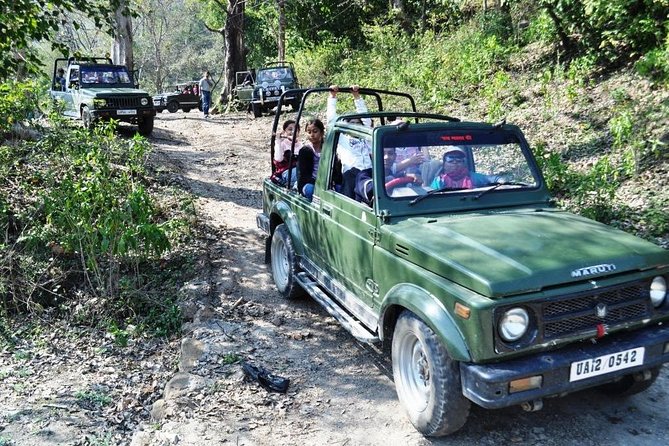 Rajaji National Park - Jeep Safari in Rishikesh - Health and Accessibility Considerations