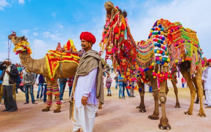 Rajasthan Cultural Tours - Reserve Now, Pay Later