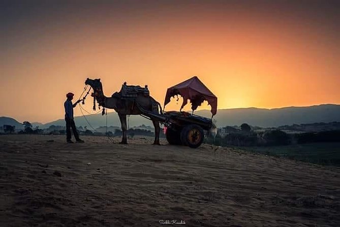 Rajasthan Heritage Tour - Transportation and Accommodations