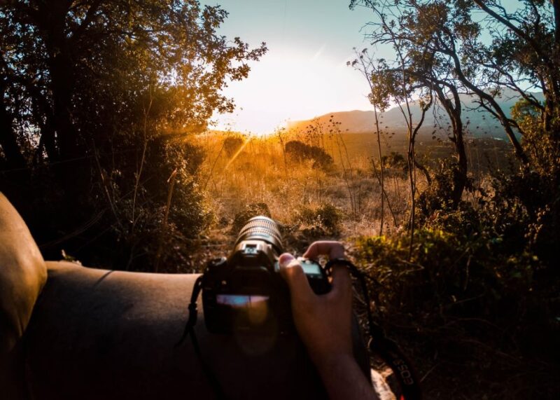 Rajasthan: Ranthambore National Park Private Jeep Safari - Private Guided Jeep Safari
