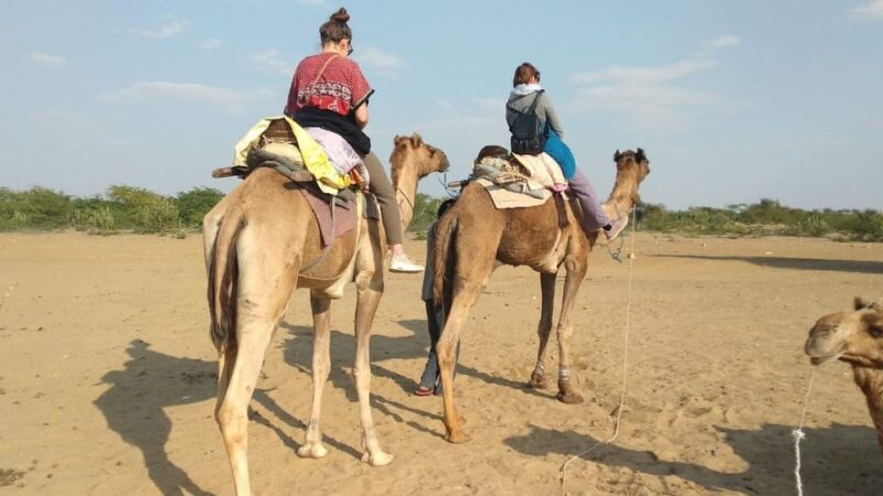 Rajasthan Tour Combined With Varanasi and Lots of Nature - Destinations and Itinerary Highlights