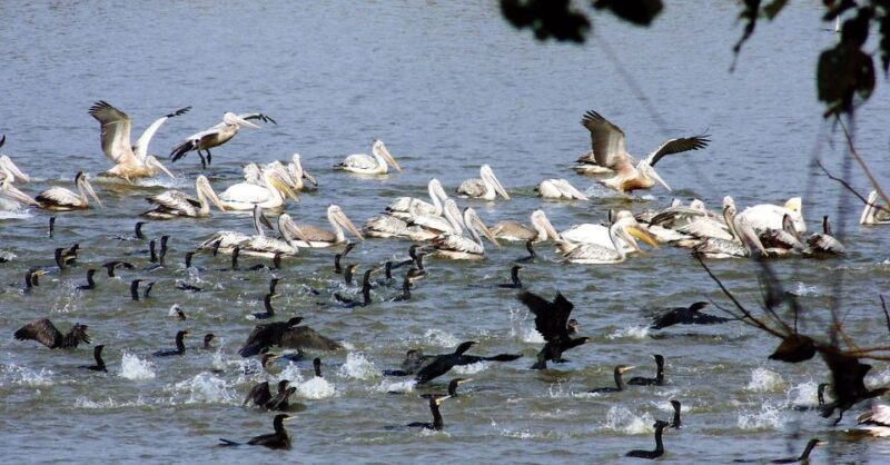 Rajasthan Wildlife Tour - Itinerary Highlights