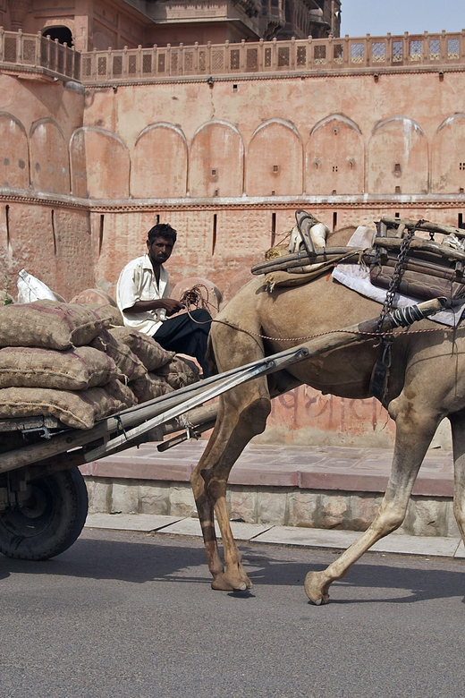 Rajasthani Romance_15 Days - Key Points