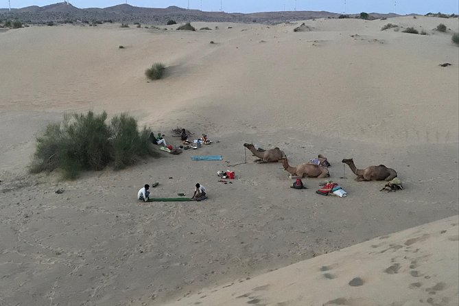 Rajs Unexplored Private Camel Safaris Under the Stars - Stargazing Camel Safari Adventures