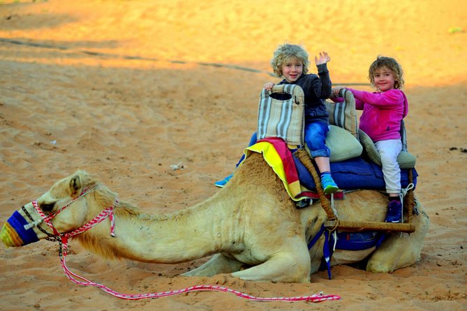 RAK Dinner in the Desert With RAK Transfer - Flexible Transportation Options