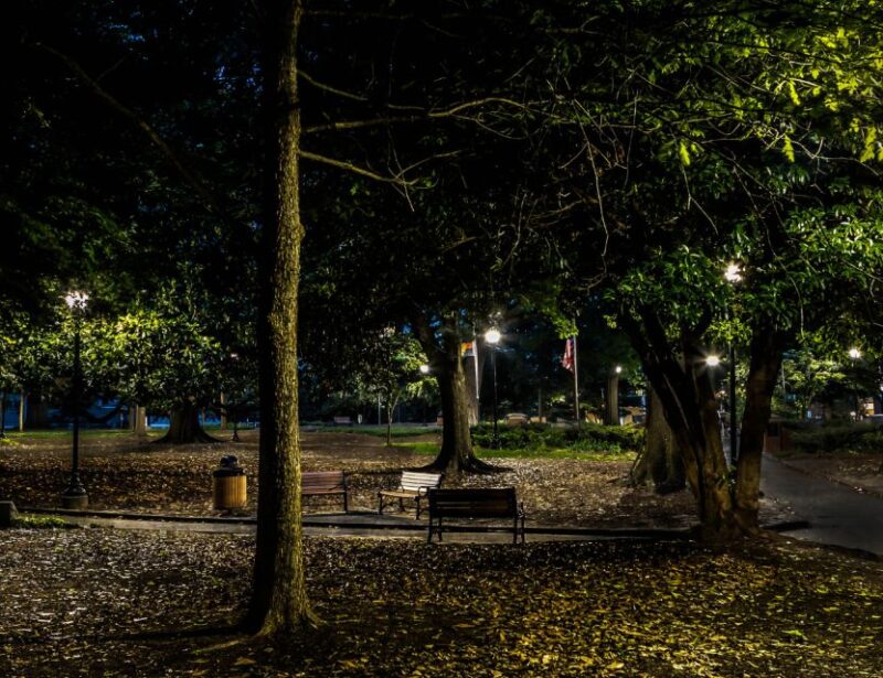 Raleigh: Ghosts and Ghouls Hauntings Walking Tour - Experience Highlights
