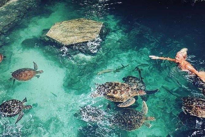 Rama Zanzibar Adventures - Indulging in Zanzibars Culinary Delights