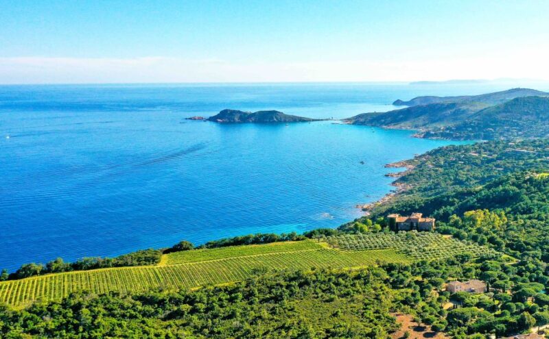 Ramatuelle: Tracks & Tasting Winery Tour by Mountain E-Bike - Scenic Countryside Cycling