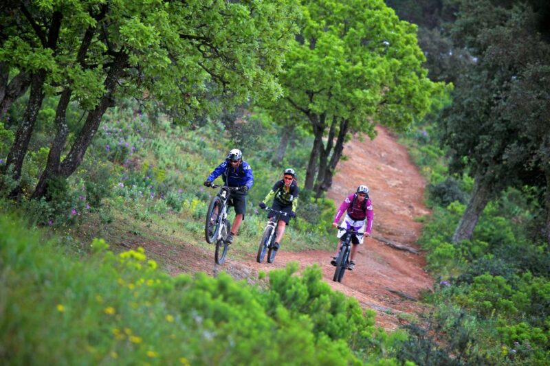 Ramatuelle: Tracks & Tasting Winery Tour by Mountain E-Bike - Guided Winery E-Bike Tour
