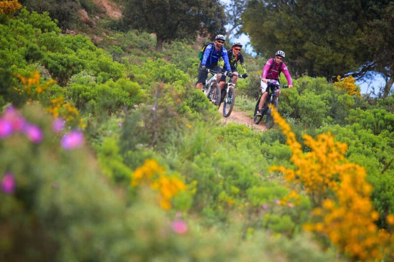 Ramatuelle: Tracks & Tasting Winery Tour by Mountain E-Bike - Tour Exclusions