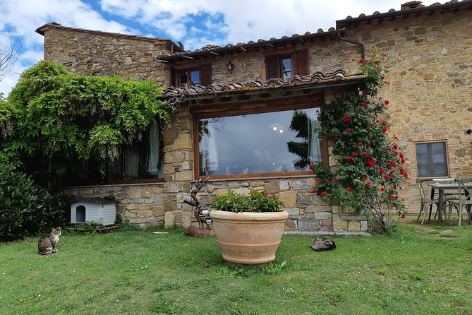 Ramble Through the Rolling Hills of Chianti With Lunch & Wine Tastings - Private Transportation and Expert Guidance