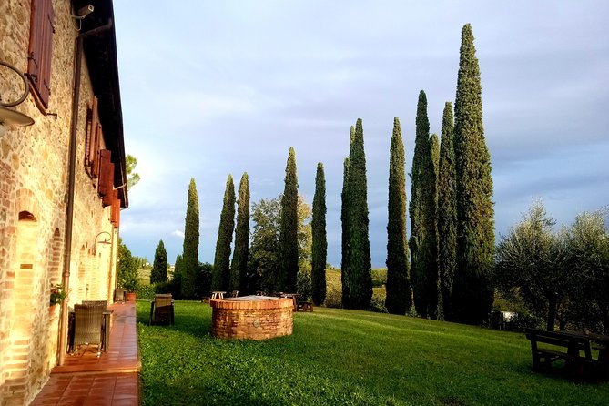 Ramble Through the Rolling Hills of Chianti With Lunch & Wine Tastings - Highlights of the Tour Experience